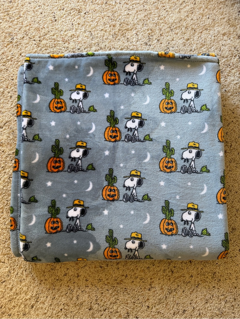 Berkshire Peanuts Snoopy/Spike Halloween Blanket Full Queen 90x90 Cowboy Pumpkin